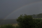 Regenbogen-Bild oder Foto