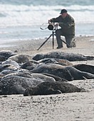 Fotografie-Bild oder Foto